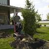 Toro DIngo Hydraulic Tree Forks